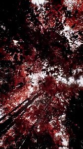 Kepler 186f🌹 #planet #exoplanet #kepler186f #astronomi #luarangkasa #fypシ #fypage | Sains Teknologi