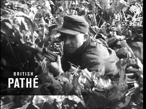 New German Army In The Making (1950-1959)