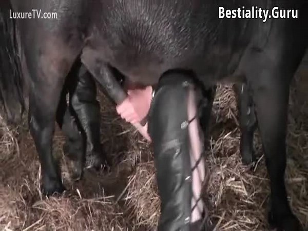 Horse cum in pussy