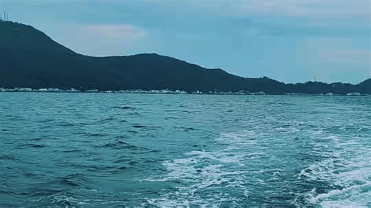 ᵀⁱᵏᵗᵒᵏ ᵗᵃ̣̂ᵖ ˢᵘ̛̣ trên TikTok