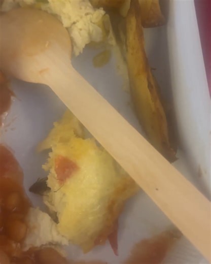 An Instagram user shared a video claiming she had found a cockroach in her meal. The footage soon goes viral among netizens. However, Air India has responded to the incident and expressed concern over it. However, Times Now cannot verify the authenticity of the video. #AirIndia #Coachroach #Meal #Viral Video Courtesy: Instagram | TIMES NOW