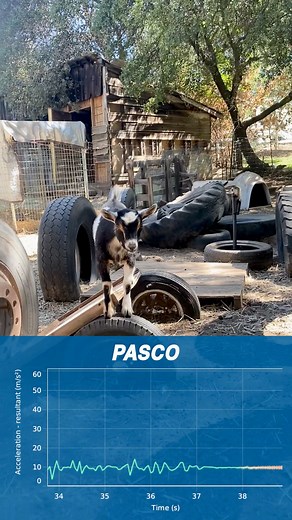 1.1K views · 24 reactions | Baby Goats Do Science! | PASCO scientific | Facebook