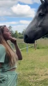 2.5K views · 18 reactions | This owner taught her horse to do the cutest thing.  ❤️ #animalkind | Daytona Beach News-Journal | Facebook