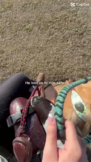 Josie and I were riding my horse double and we let him go and he took off 😂