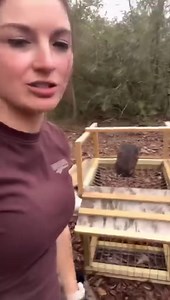 2 months after breaking his neck and back, dad is out here setting turtle traps! Can’t keep this man down! #turtle #turtletraps #hannahbarron #redneck | Hannah Barron Outdoors
