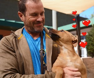 The look of love - we know it well! 😍 We can't blame our resident animals for getting all starry-eyed over our volunteers - they're amazing! And while can't tell you how much it means to a shelter animal when you spend quality time with them, we can certainly show you 💗 If you feel like something is missing from your life, that you're searching for a sense of fulfillment and a way to give back, you'll find it here! Just a few hours a week can truly make all the difference in the life of a home