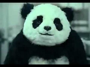 Panda Commercial