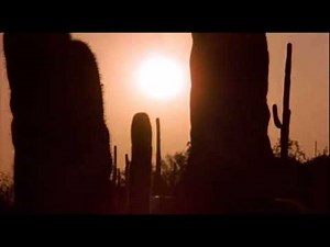 The Karate Kid 1984 intro