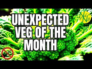 Unbelievable Romanesco Discovery || romanesco cauliflower recipe || romesco sauce recipe