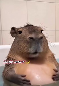 2.9K views · 64 reactions | 9 seconds of smiling . Enjoy. | Learning Express Toys Lake Zurich serving the Chicago NW Suburbs | Facebook