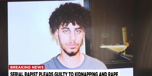 Serial rapist pleads guilty to kidnapping, rape charges