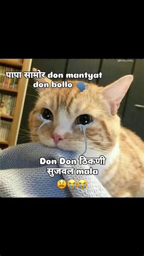 bhand vichar  on Instagram: "Sujavll ravv  . . . . . . . . . Admin - @bhand_vichar_ Meme page type - Marathi and Hindi  Darkest humour memes 18+ vichar memes 﫦 . . . Ignore tags  . . . #marathimeme #memepage #viral #bhaandvichar #instagood #marathiinsta #darkhumourmemes #marathijokes #maharashtra #love #friend #friendswithbenefit #gf #viralreels #marathimulgi #marathiculture #marathicomedy #marathistatus #marathi"