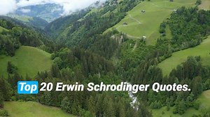 Top 20 Erwin Schrodinger Quotes - The Austrian Physicist. @DailyQuotesHD. #ErwinSchrodinger #ErwinSchrodingerQuotes #SchrodingerQuotes #QuantumPhysics #PhysicsWisdom #SciencePhilosophy #QuantumTheory #ScientificMind #PhysicsLegend #SchrodingerWisdom #TheoreticalPhysics. | Positive Quotes