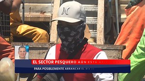 #aguamala Reportaje especial: Temporada de agua mala 🪼 | Meganoticias SLRC