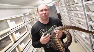 Sharing my experience about my worst snake bite. #storytime | Brian Barczyk