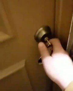 La mejor celebración de SAN VALENTIN 🐶😍💕😘🐾🏩 | Glamour Pets