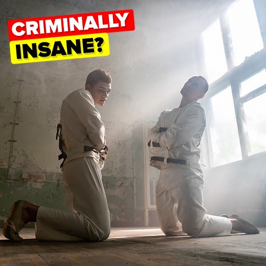 We've all heard the term "Criminally Insane" but what does it actually mean? How can you be insane at the time of a crime, but totally sound of mind during your trial? Let's find out in today's crazy new video! | The Infographics Show