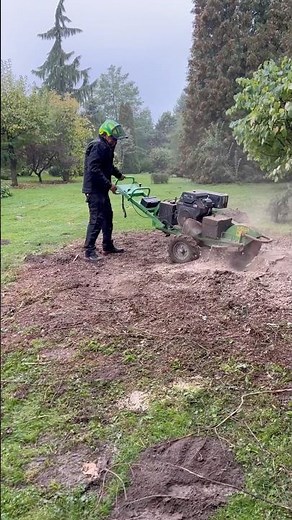 The price for stump removal, or stump grinding. #Logger #Lumberjack #grinding #roots