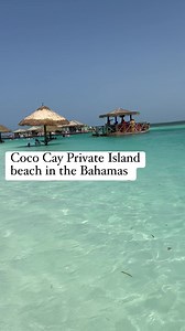 Coco Cay Private Island Beach in the Bahamas #cococay #cococaybahamas #beach #bahamas | Norman Newkirk