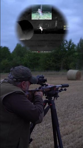 The Silent Assassin: .22LR Subsonic Rabbit Hunting | DNT ThermNight 335R