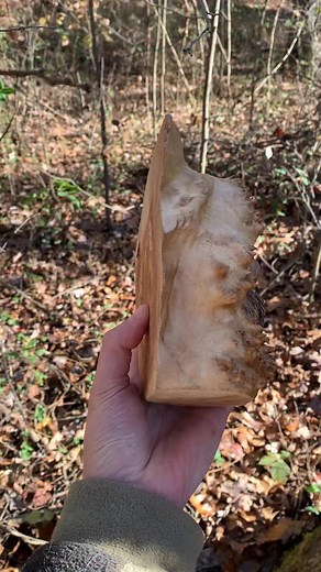 6.4K views · 20K reactions | “Late Nights, Early Mornings” is carved in Big Leaf Maple burl :) | Josh Carte Art | Facebook