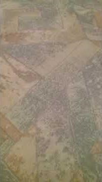 July 30th biscuits exploding and hotdog bags expanding...