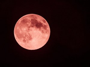 When To See June’s Full Strawberry Moon Usher In Summer In Healdsburg