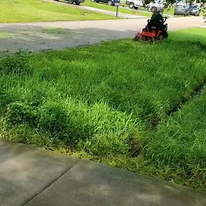 1K views · 52 reactions | Owner Grateful I Mowed OVERGROWN Lawn for FREE to Avoid City Violation FINE Bagging WET Grass | Lawn Care Services | Facebook
