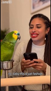 463K views · 7.6K reactions | Parrot Said Her Lip Filler Got Belly Fat  . . . #ParrotComedy #talkingparrot #parrotlover #funny Perrot Cops BirdsPlanet.com | Jems99 | Facebook