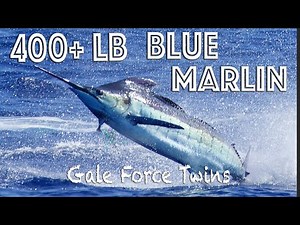 Blue Marlin Fishing in Kona - Hawaii Sportfishing | Gale Force Twins