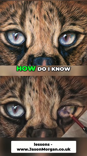 5.7K views · 134 reactions | drawing pastel eyes | Jason Morgan Wildlife Art | Facebook