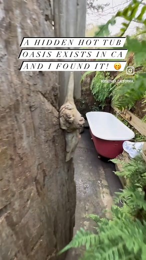 You’ve heard of a desert oasis, but have you ever heard of a hot tub oasis?! 🤭 That’s right! @thefrontporch.arcata in Arcata has a hidden hot tub oasis covered in ferns for its guests to relax and enjoy 😌 We stayed for a long weekend and had so much fun! 🛁 They have two different types of tubs to soak in. Side by side claw foot tubs, and single copper tubs that can comfortably fit two people 😊 🧖 There’s also a large sauna if that’s your vibe! 🚪 Each room is different, so look at each one c