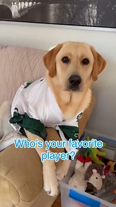 1.7K views | 勺 : @lisatheblacklab and @lord_jack_the_yellow_lab | Desert Labrador Retriever Rescue | Facebook