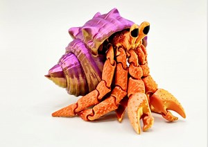 Hermit Crab Fidget Toy - Multi Colour Print - Etsy