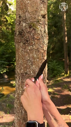 Incredibly Easy Way to Start a Fire! | Crafty Panda