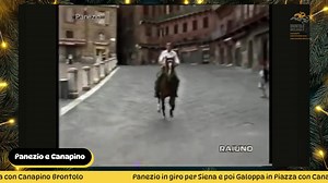 IN QUESTE FESTE RICORDIAMO UN CAVALLO, PANEZIO, CHE HA FATTO LA STORIA, ASSIEME AL SUO ALLENATORE CANAPINO DEL PALIO DI SIENA, QUESTO VIDEO COMMENTATO DA FRANCO MASONI FA VEDERE CHI ERA PANEZIO IL "RAGIONIERE" DI PIAZZA, UN CERVELLO UNICO. 8 PALII VINTI, OLTRE ALLE TANTE CORSE VINTE ALL'IPPODROMO DEL PIAN DELLE FORNACI DI SIENA (2° ANCHE AL GRAN PREMIO DEGLI ANGLO ARABO) E IN PROVINCIA DOVE ERA QUASI IMBATTIBILE; E' MORTO ALLA SUA SCUDERIA DI SEMPRE, QUELLA DI CANAPINO, A 21 ANNN PER UN INCIDENT