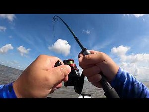 Palacios, Texas Inshore Fishing Action!