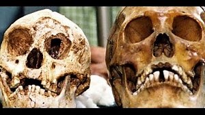 Documentaire | L’évolution de l’espèce humaine – L’homme préhistorique