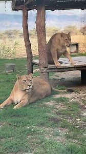 Un loc care merita vizitat !!! | Adrian Prisecaru