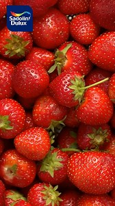 Step inside nature & the vibrant colors offered by Sadolin Dulux.​...