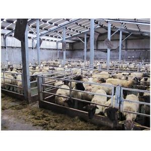 [Hot Item] Pre Engineering High Rise Hotel Factory Two Story Prefabricated Steel Structure Building