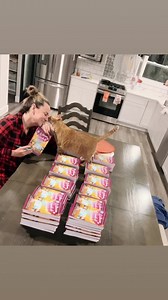 Top knot ✅. PJs ✅. Rowena kisses ✅ Signing books ✅✅. This is what a fun Friday night looks like! What are y’all doing? #tonyakappes #cozymystery #cozymysteryseries #cozymysterybooks #cozymysteryreader | Tonya Kappes Books