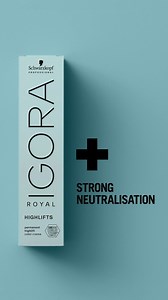 #AD Achieve the coolest, most refined blonde results with #IGORAROYAL Highlifts. Designed to deliver powerful lift and neutralization with minimized breakage—perfect for creating clean, icy tones. Contact your local Schwarzkopf reps today to find more tips to boost your business with Igora! #IGORA #haircolourists #haircolour #schwarzkopfpro #schwarzkopfprofessional #partnersincraft #capitalhairie | Irish Hairdressers Federation | Facebook