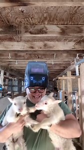 HARD TO WORK WITH BARN BABIES AROUND 🐐🐥❤️ #FARMLIFE MOOD #barnbabies #farmlife #fyp #cutebabies #countryliving #springvibes #farmanimals #toocute #dailystruggle #relatable | Calm Down