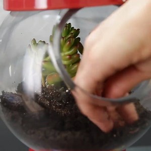Gumball Machine Planter credits: Nifty | DIY Videos