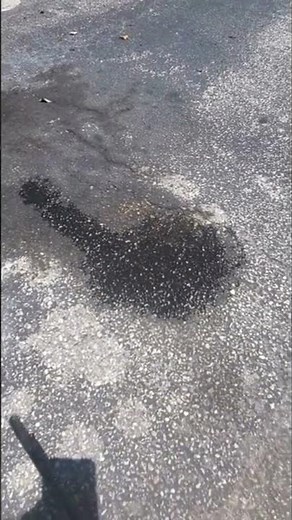 Remove oil stain from asphalt