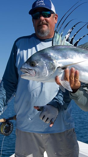 Insane Roosterfish Bite! 🔥 @lamsonflyfishing @pyramidflyco #fishing #flyfishing #roosterfish #pesca | Tuna Fishing Company
