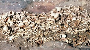 12 reactions | What's new on HistoryHit.TV this month? ALL OF THIS! Join for free today: historyh.it/february | History Hit | Facebook