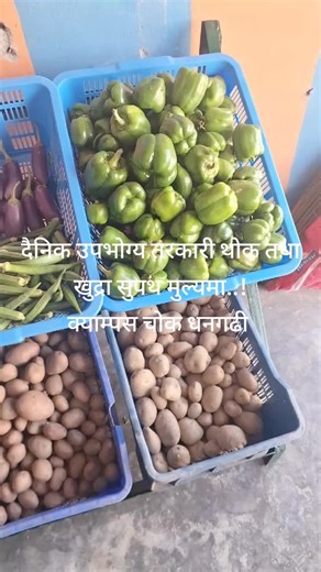 Tarkari pasal on TikTok