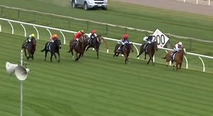 SUPER win for Super Seth 🤩 3YO Poetic Champion (ex Regally Blonde) dominates the Listed Sir Colin Meads Trophy under Matt Cartwright for Tony Pike at Hastings. He becomes the third stakes winner for his second-season sire, who strikes at 10% stakes winners to runners 🔥 Exciting Savabeel colt Savaglee (ex Glee) was a fast-finishing second. Congratulations to his owner/breeders Jonathan Munz of GSA Bloodstock, New Zealand Bloodstock agent Dean Hawthorne and all involved! | Waikato Stud